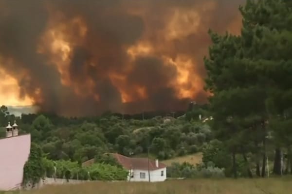 Incêndio florestal deixa 57 mortos em Portugal