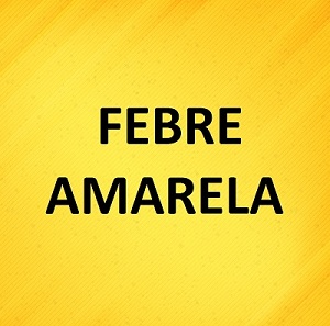 Morador de São Paulo é internado com febre amarela no Couto Maia